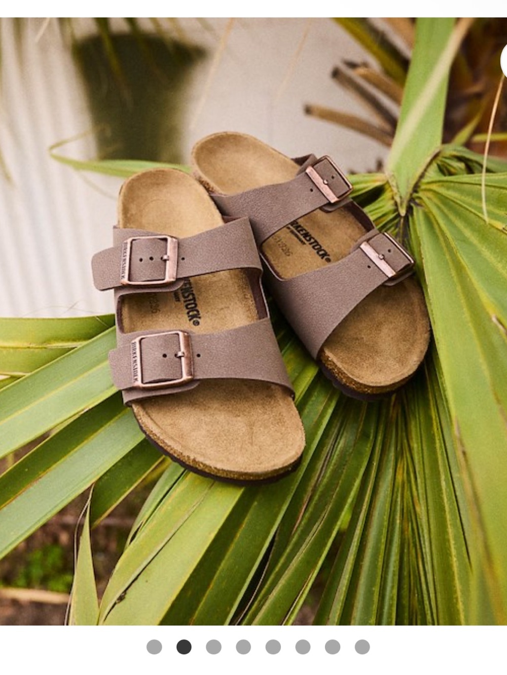 Birkenstock Arizona Two-Strap Sandals in Taupe Brown